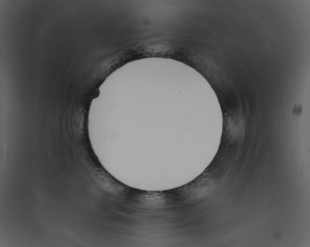 X0000089400668200707131741