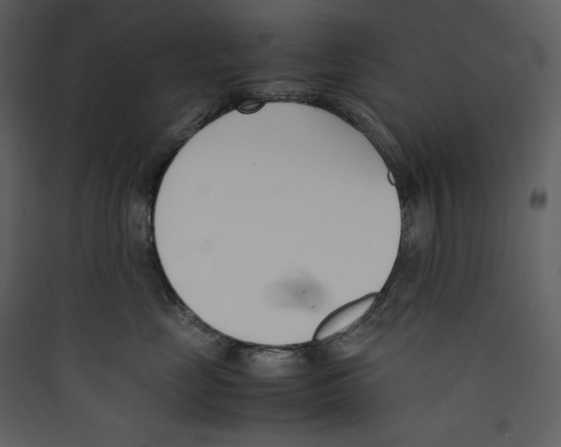 X0000089400669200707131741