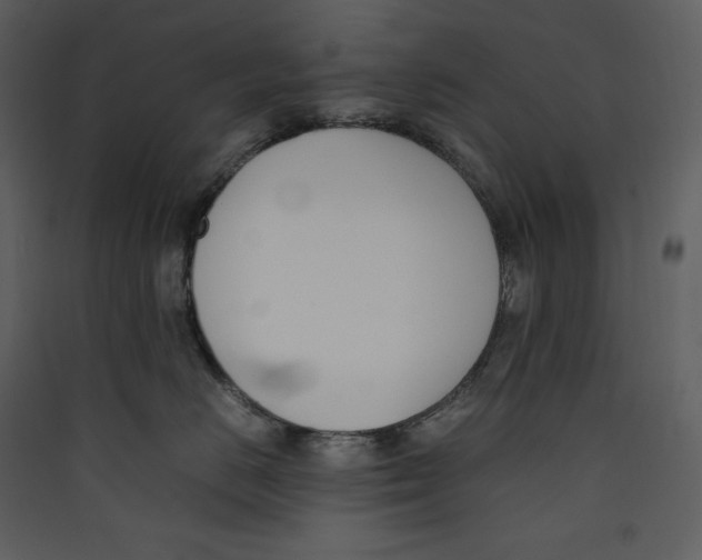X0000089400670200707131741