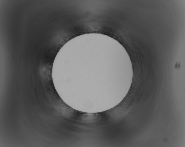 X0000089400672200707131741
