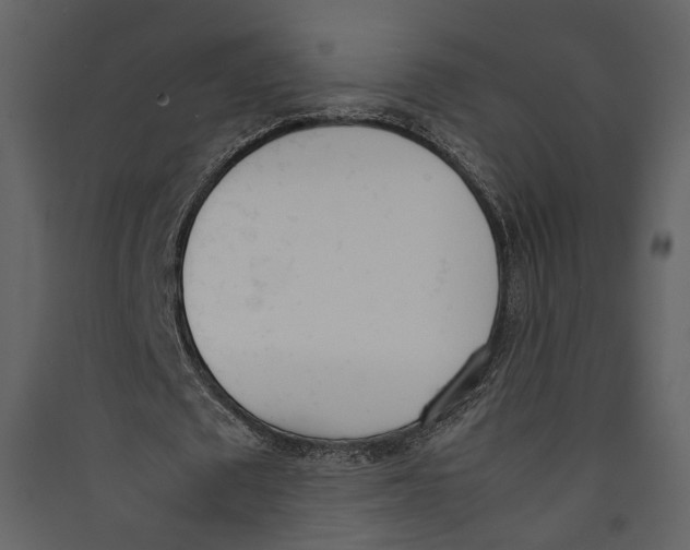 X0000089400673200707131740