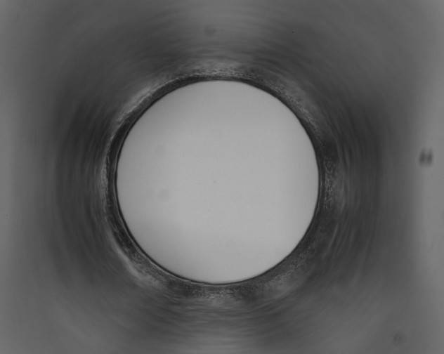 X0000089400674200707131740