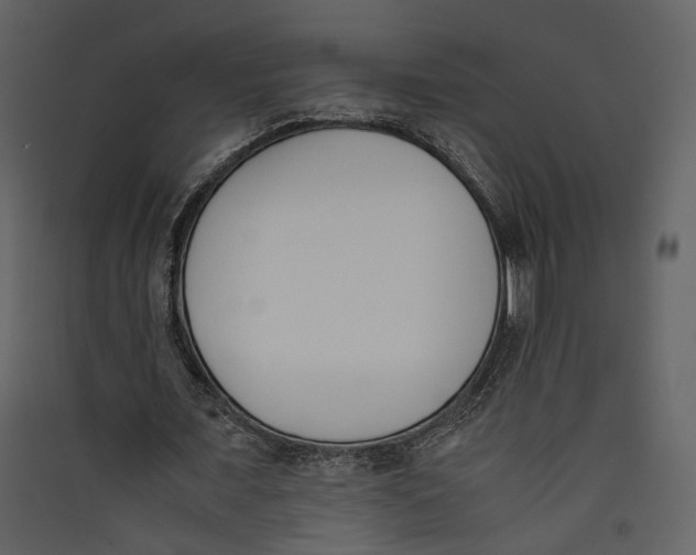 X0000089400675200707131740
