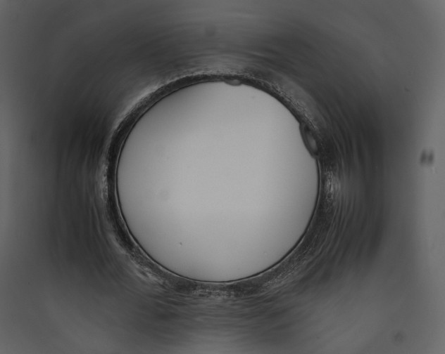 X0000089400676200707131740