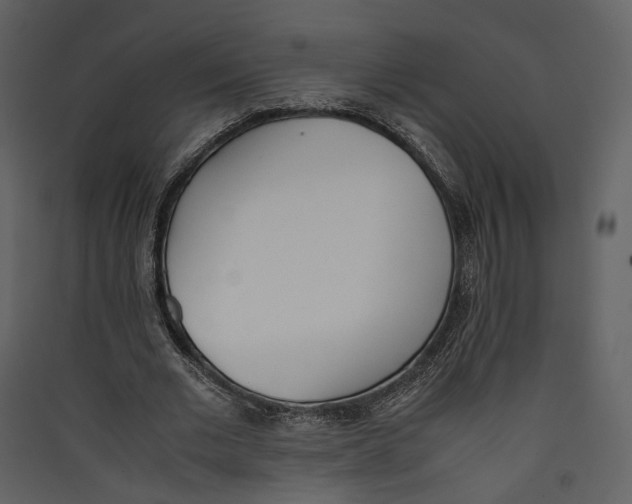 X0000089400677200707131740