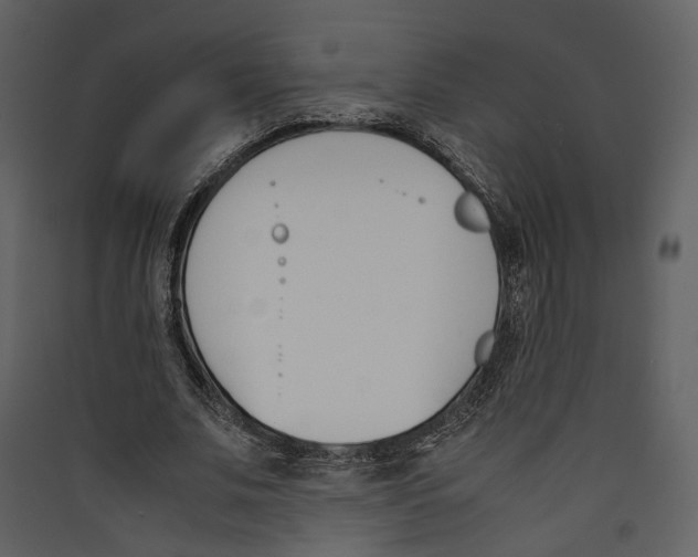 X0000089400679200707131740