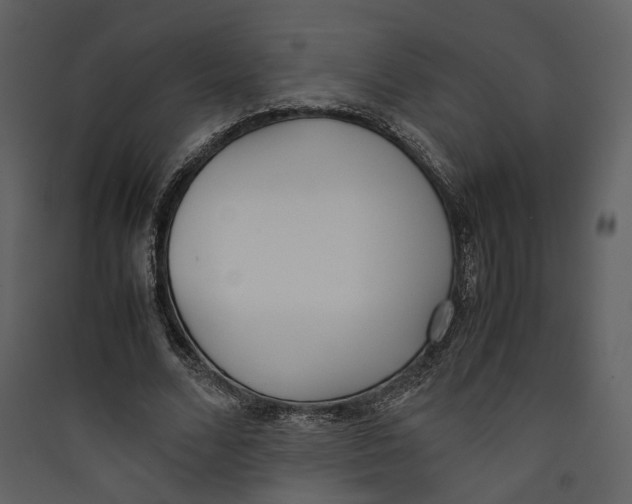 X0000089400680200707131740