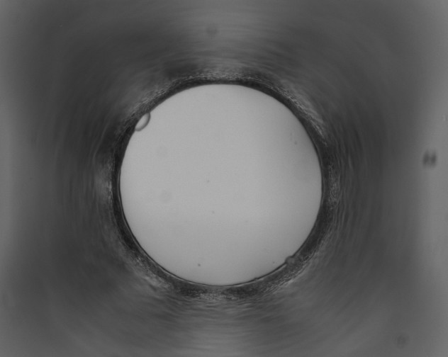 X0000089400681200707131740