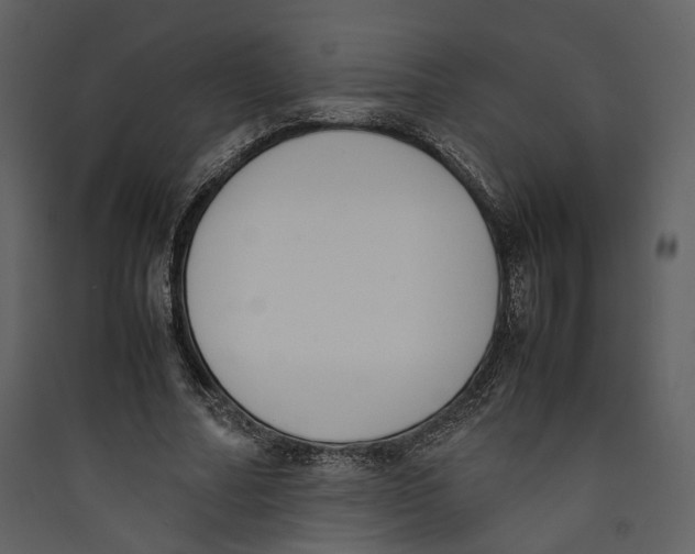 X0000089400682200707131740