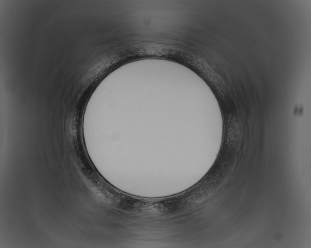 X0000089400683200707131740