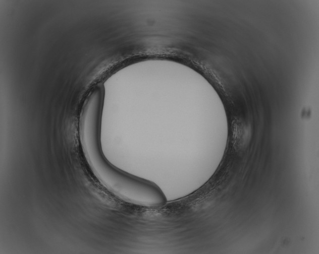 X0000089400684200707131740