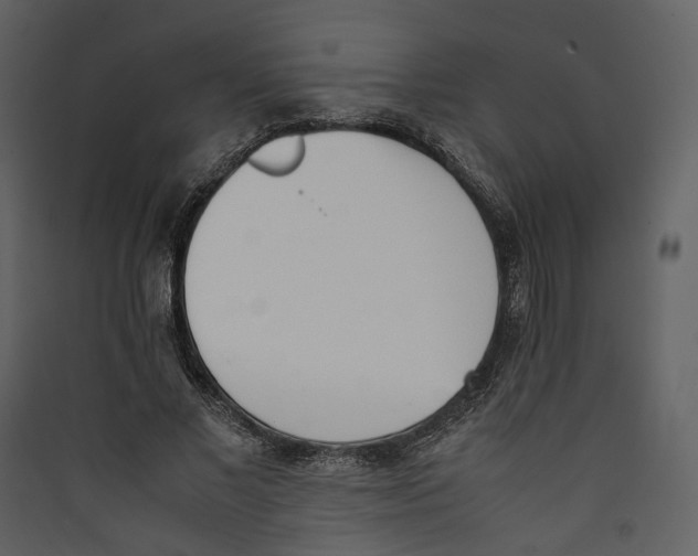 X0000089400685200707131740