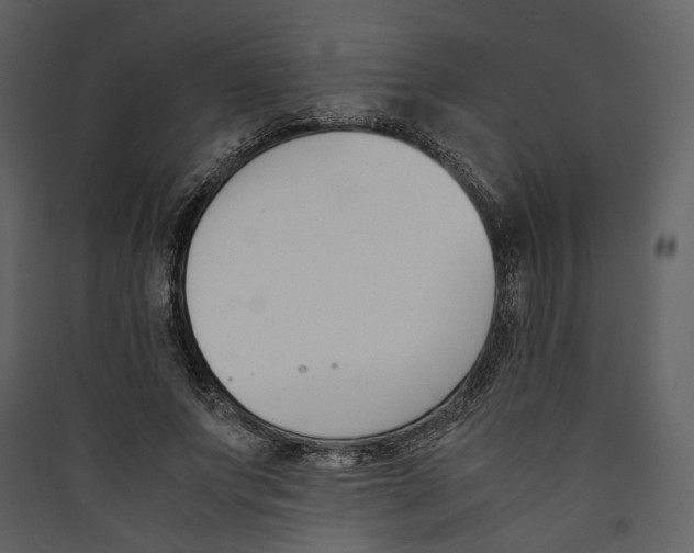 X0000089400687200707131740