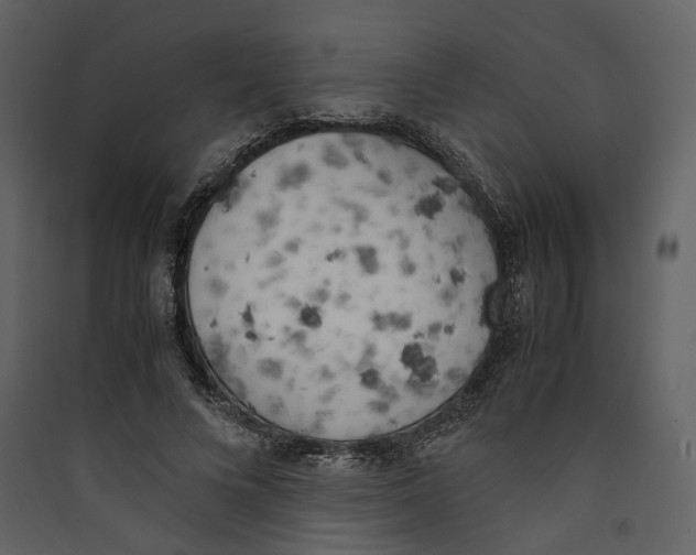 X0000089400688200707131740