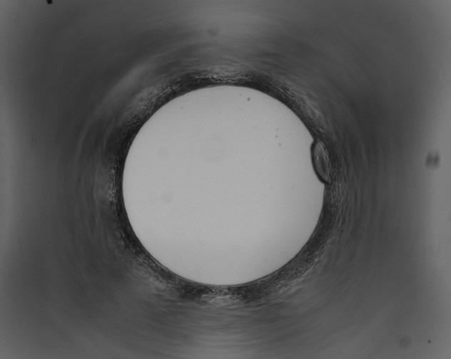 X0000089400689200707131740