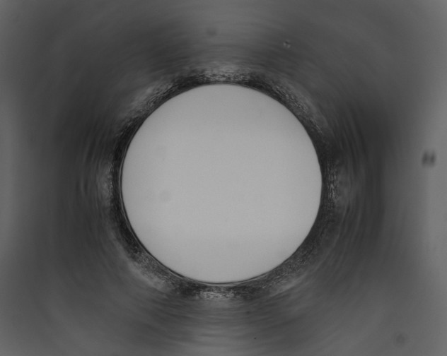 X0000089400690200707131740