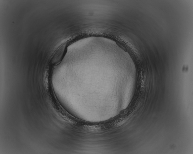 X0000089400692200707131740