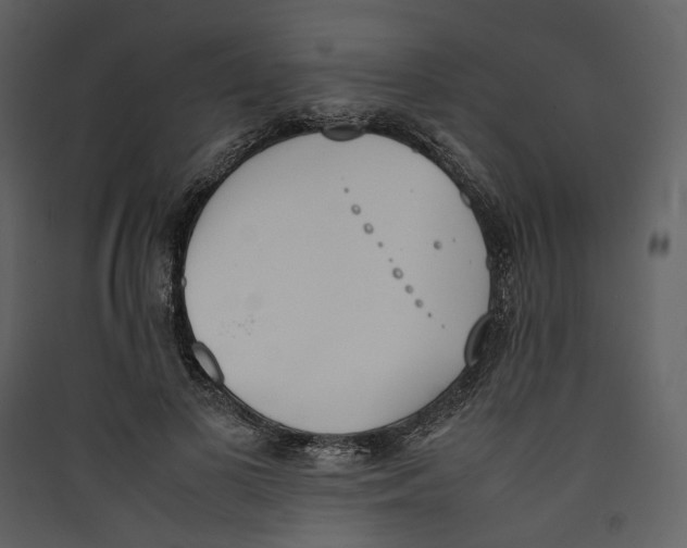 X0000089400693200707131740