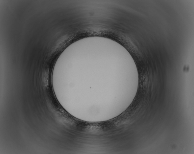X0000089400694200707131740