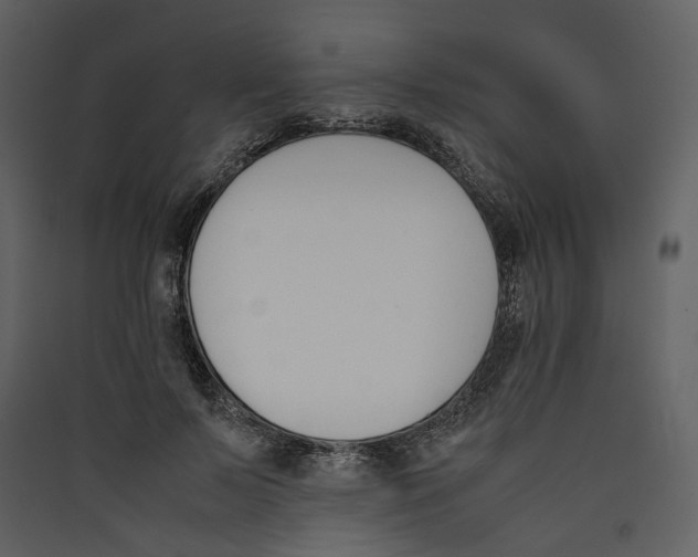 X0000089400695200707131740