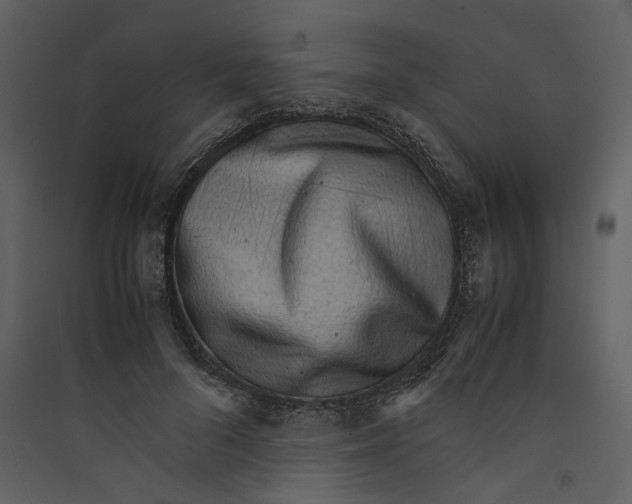 X0000089400696200707131740
