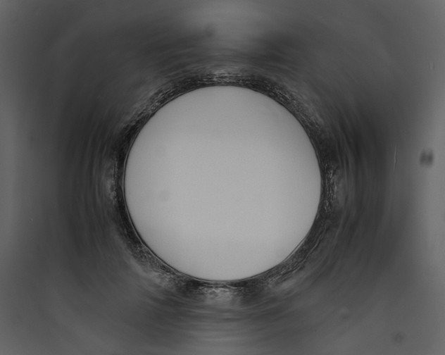 X0000089400698200707131740