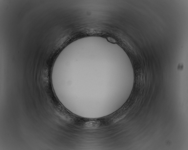 X0000089400700200707131740