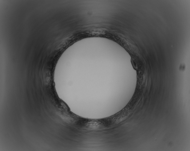 X0000089400704200707131740