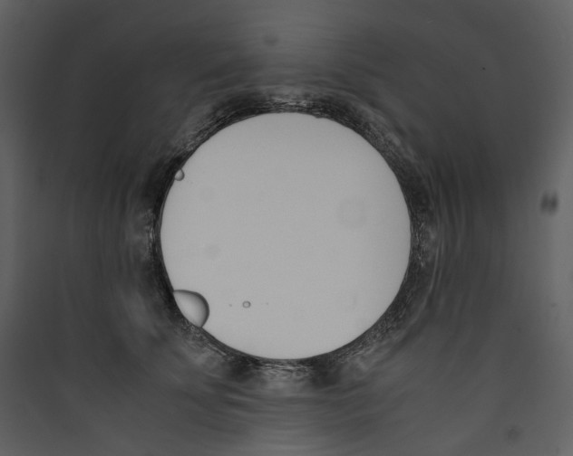 X0000089400707200707131740
