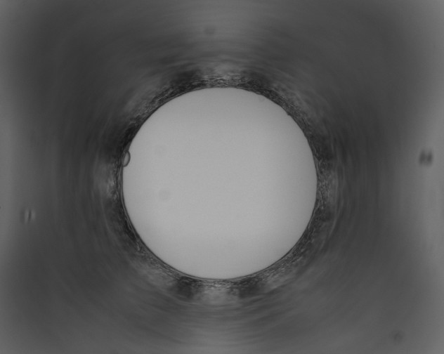 X0000089400709200707131740