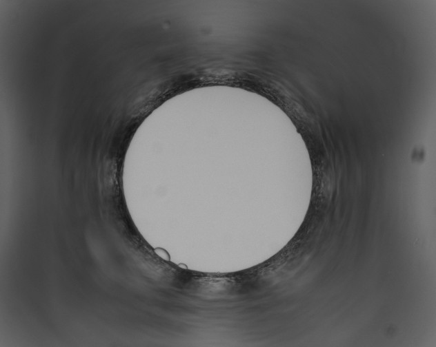 X0000089400711200707131740