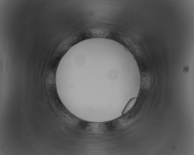 X0000089400713200707131740