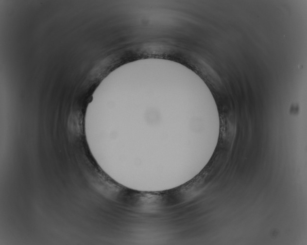 X0000089400718200707131740