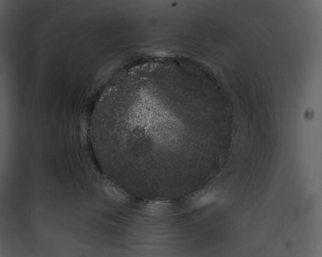X0000089400720200707131740