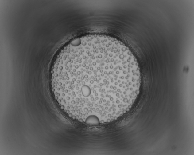 X0000089400721200707131739