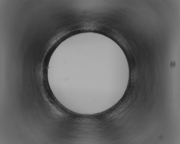 X0000089400722200707131739