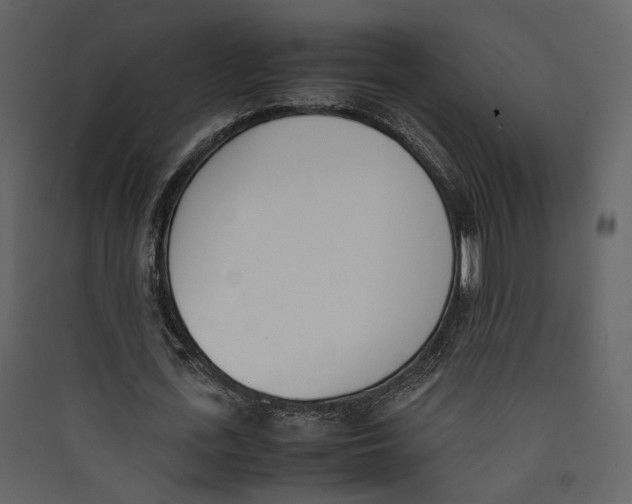 X0000089400723200707131739