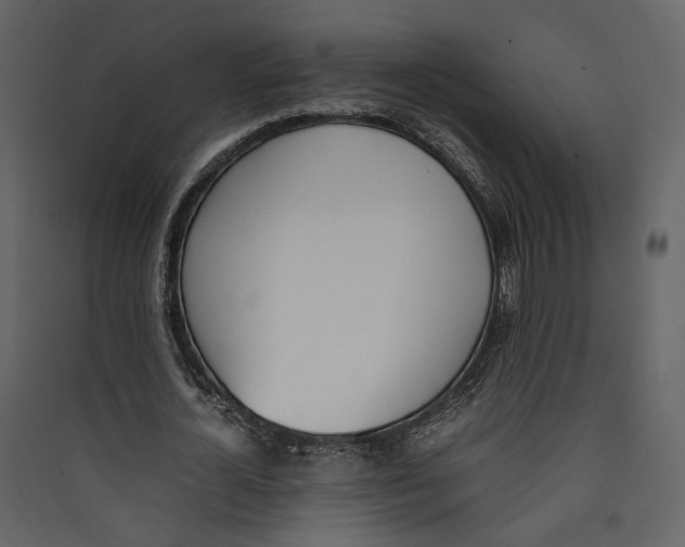 X0000089400724200707131739