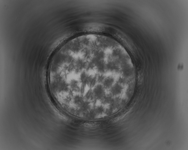 X0000089400725200707131739