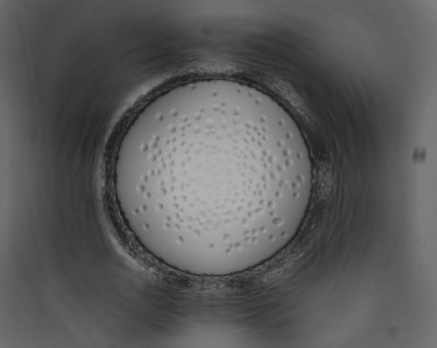 X0000089400726200707131739