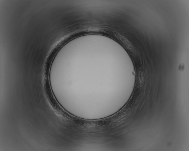 X0000089400728200707131739