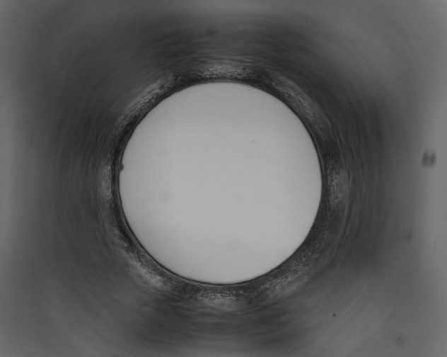 X0000089400729200707131739