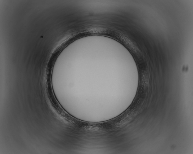 X0000089400730200707131739