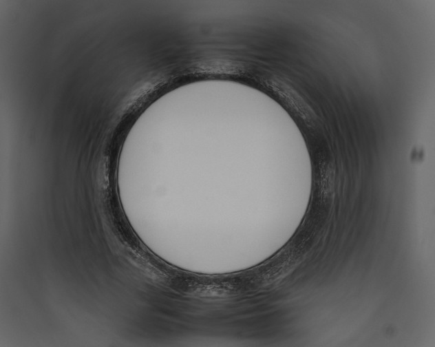 X0000089400731200707131739