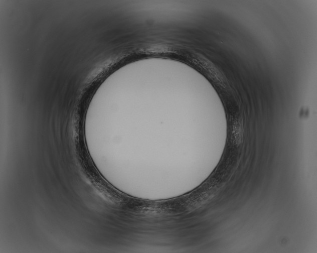 X0000089400732200707131739