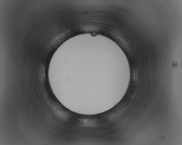X0000089400733200707131739