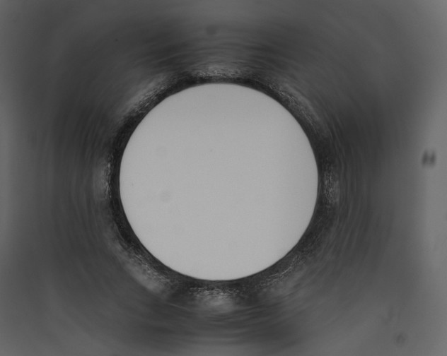 X0000089400735200707131739