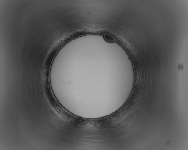 X0000089400736200707131739