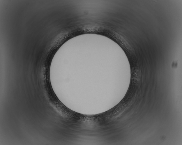 X0000089400738200707131739