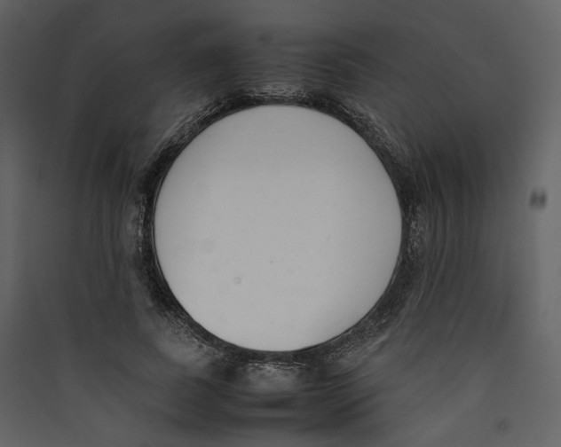 X0000089400739200707131739